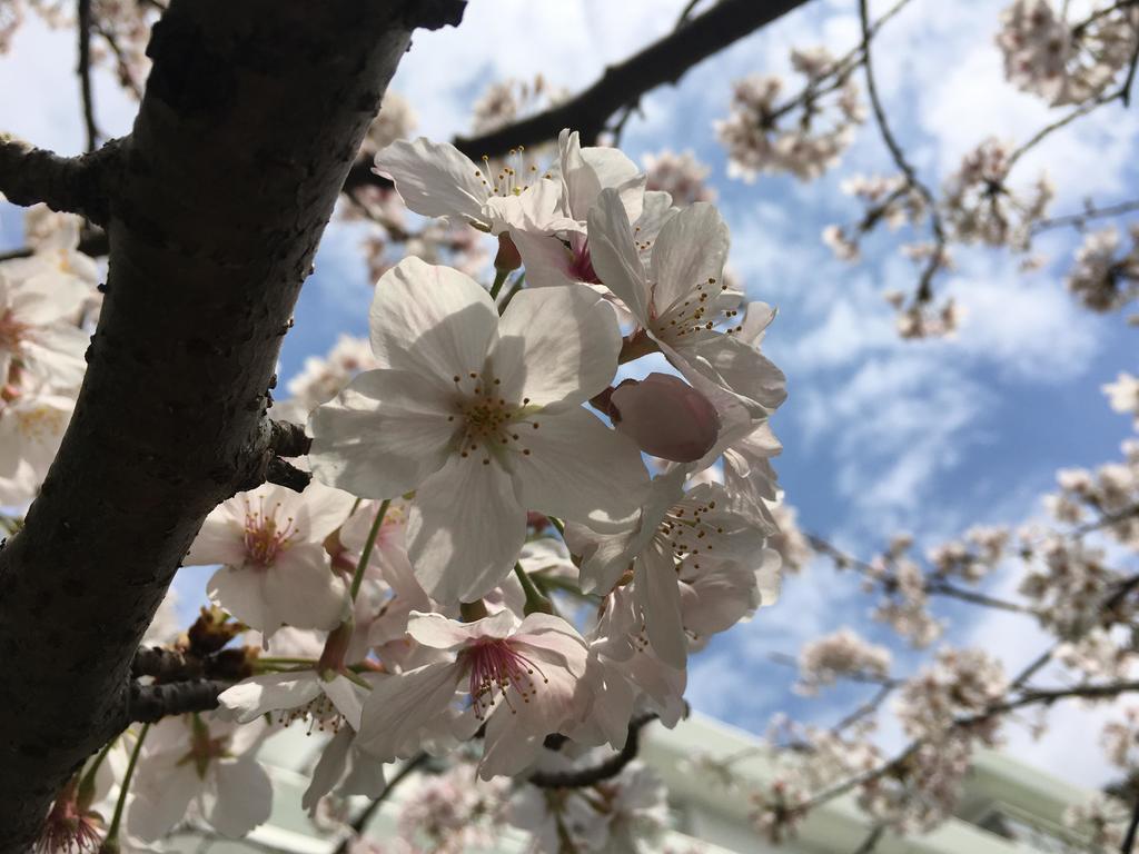 도가시마 온센 호텔 니시이즈 외부 사진