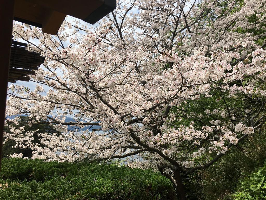 도가시마 온센 호텔 니시이즈 외부 사진