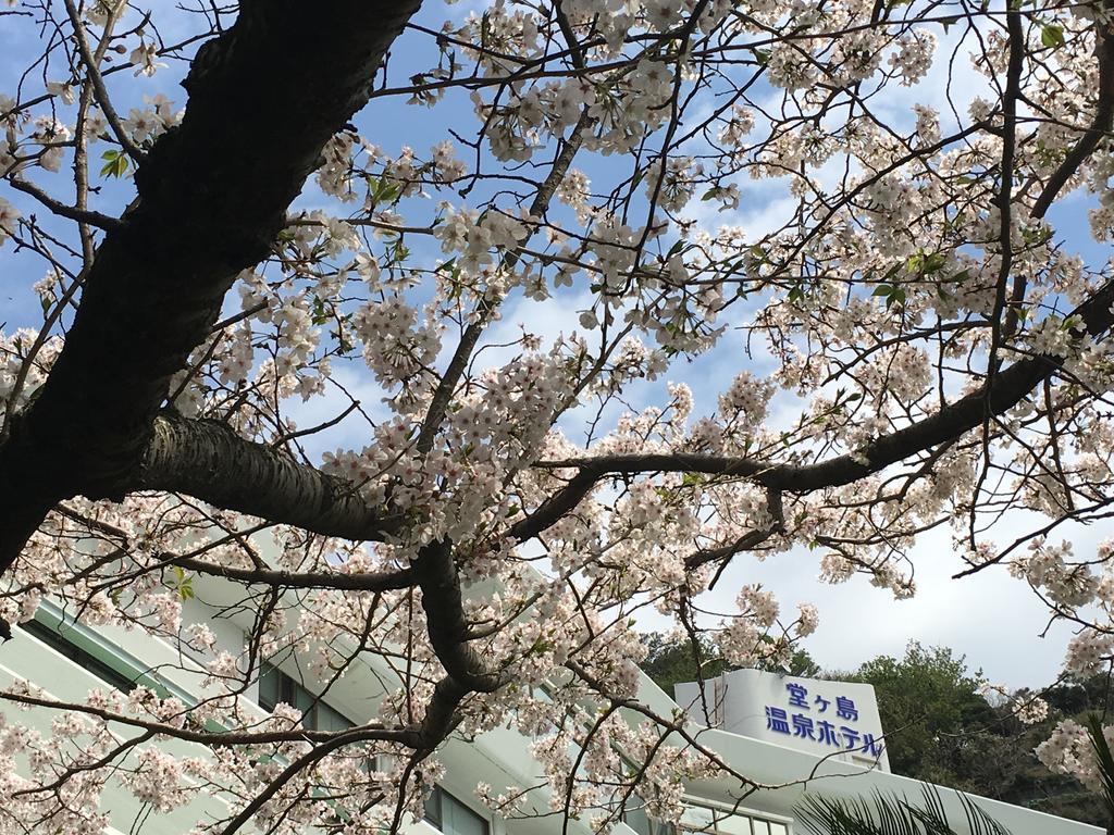 도가시마 온센 호텔 니시이즈 외부 사진