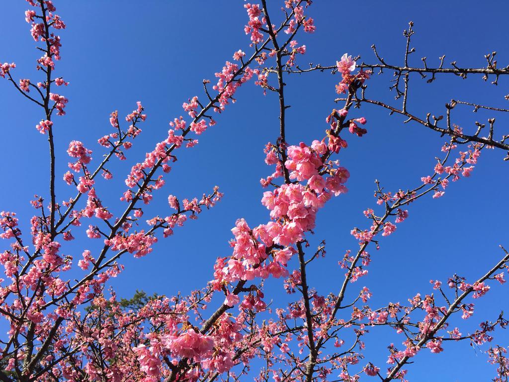 도가시마 온센 호텔 니시이즈 외부 사진